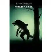 Постер книги Поездка в лес