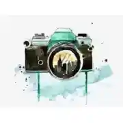 Постер книги Фотограф