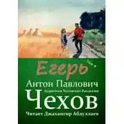 Постер книги Егерь