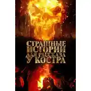 Постер книги 13 страшных историй у костра