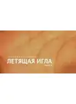 Леонид Белозорович - Летящая игла