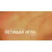 Постер книги Летящая игла