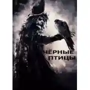 Постер книги Чёрные птицы
