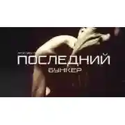 Постер книги Последний бункер