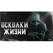 Постер книги Осколки жизни