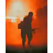 Постер книги Местные мы