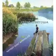 Постер книги Тоша-святоша