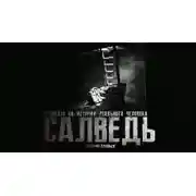 Постер книги Салведь