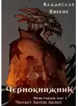 Владислав Бобков - Чернокнижник. Неистовый маг