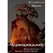 Постер книги Чернокнижник. Неистовый маг