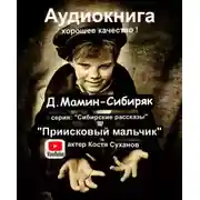 Постер книги Приисковый мальчик