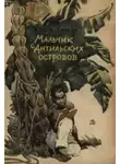Жозеф Зобель - Мальчик с Антильских островов