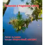 Постер книги Темная сторона леса