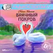 Постер книги Брачный покров