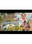 Владимир Коньков - Соседи