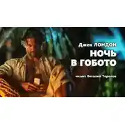 Постер книги Ночь в Гобото