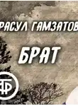 Расул Гамзатов - Брат