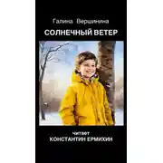 Постер книги Солнечный ветер