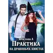 Постер книги Практика на драконьих хвостах