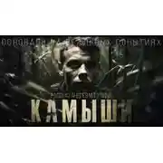 Постер книги Камыши