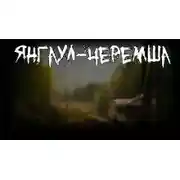 Постер книги Янгаул-Черемша