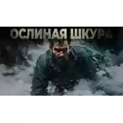 Постер книги Ослиная шкура