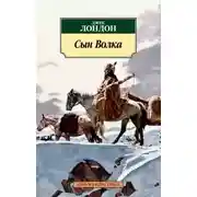 Постер книги Сын Волка