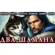 Постер книги Два шамана