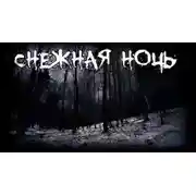 Постер книги Снежная ночь