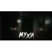 Постер книги Мухи