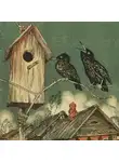 Василий Белов - Скворцы