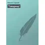Постер книги Товарищ!