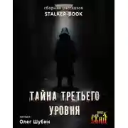 Постер книги Тайна третьего уровня