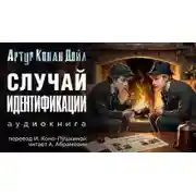 Постер книги Случай идентификации