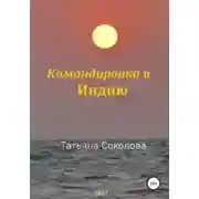 Постер книги Командировка в Индию