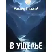 Постер книги В ущелье