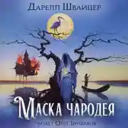 Постер книги Маска чародея
