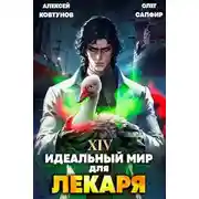 Постер книги Идеальный мир для Лекаря 14