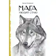 Постер книги Мага уводит стаю