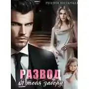 Постер книги Развод. Я тебя заберу