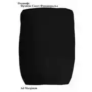 Постер книги Подшофе