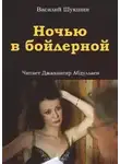 Василий Шукшин - Ночью в бойлерной