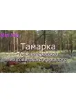 Юрий Насыбуллин - Тамарка