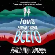 Постер книги Единая теория всего. Том 3. Антропный принцип