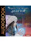 Казакова Светлана - Город, где живёт магия. Книга 3. Тайна зимней ночи