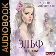 Постер книги Эльф на полке