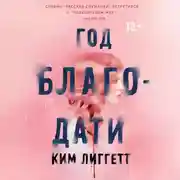 Постер книги Год благодати