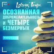 Постер книги Осознанная доброжелательность и четыре безмерных. Часть 3