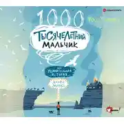 Постер книги Тысячелетний мальчик