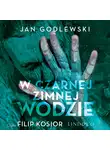 Jan Godlewski - W czarnej zimnej wodzie